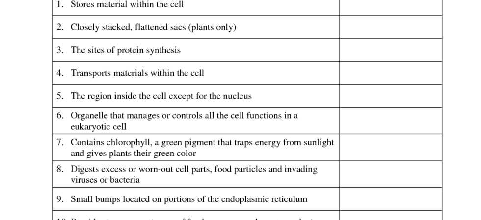 Cell Transport Worksheet and Diffusion and Active Transport Worksheet Wallpapers 42
