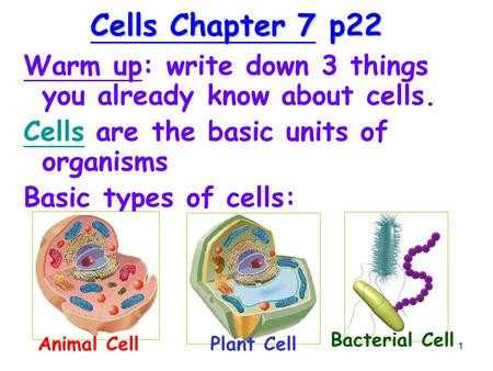 Cells Alive Animal Cell Worksheet Answer Key together with Cells Alive Animal Cell Worksheet Answer Key Inspirational 5th Fifth