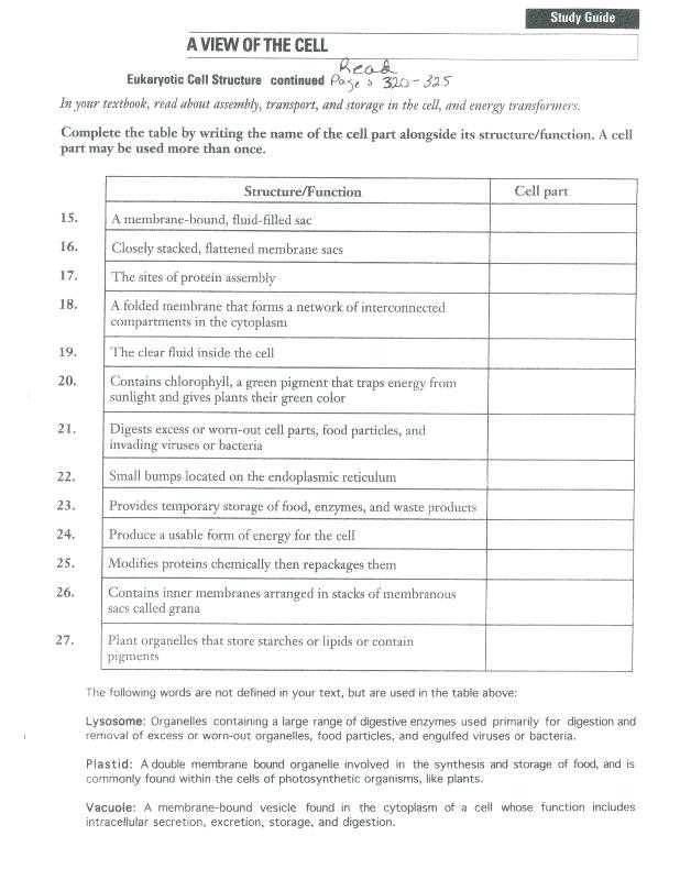 Cellular Respiration Breaking Down Energy Worksheet Answers Also Best Cellular Respiration Worksheet Beautiful Synthesis and