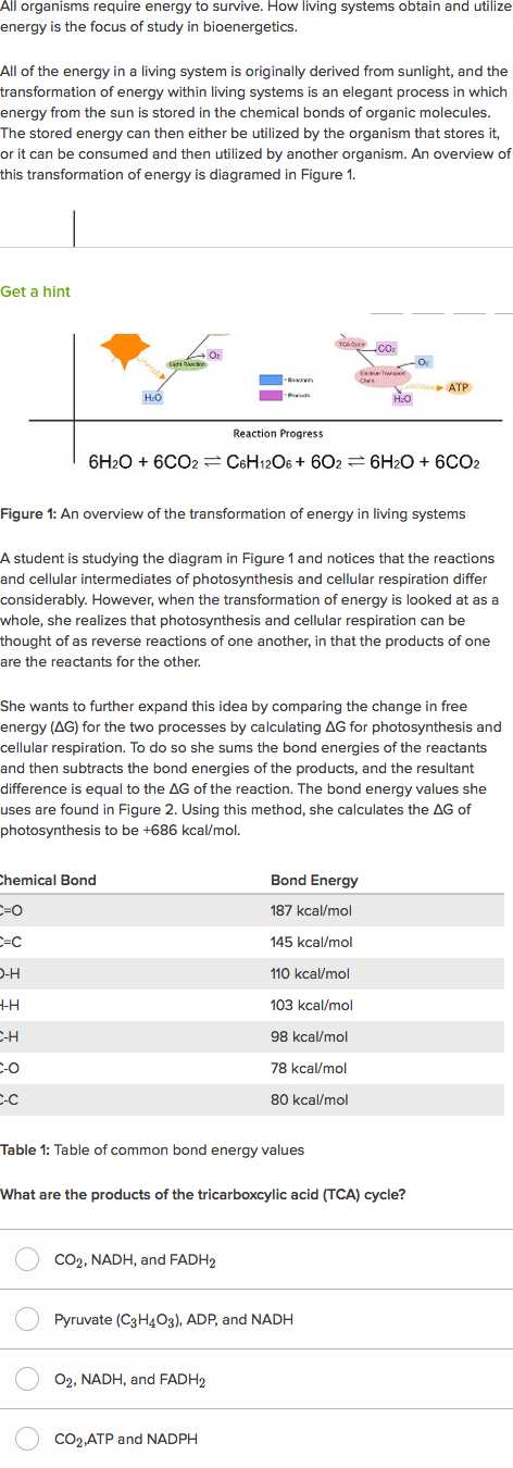 Cellular Respiration Breaking Down Energy Worksheet Answers together with Free Energy Photosynthesis and Cellular Respiration Practice