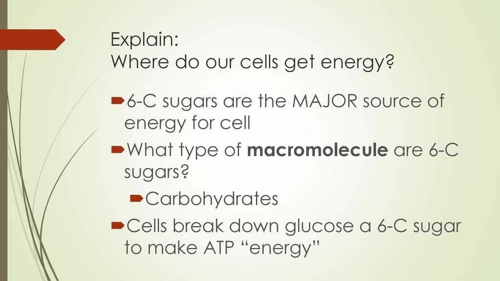 Cellular Respiration Breaking Down Energy Worksheet Answers together with where Do Animal Cells their Energy Ppt
