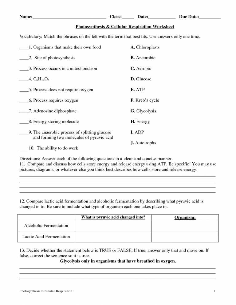 Cellular Respiration Overview Worksheet Chapter 7 Answer Key with Worksheets 43 Awesome Synthesis and Cellular Respiration