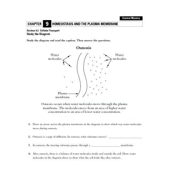 Cellular Transport Worksheet or Awesome Osmosis Worksheet Awesome is A Cell Membrane A B 11 for Each