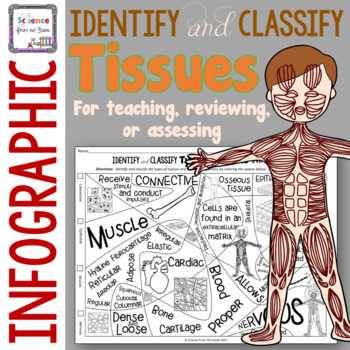 Chapter 1 Introduction to Human Anatomy and Physiology Worksheet Answers Along with Anatomy and Physiology Tissues Teaching Resources