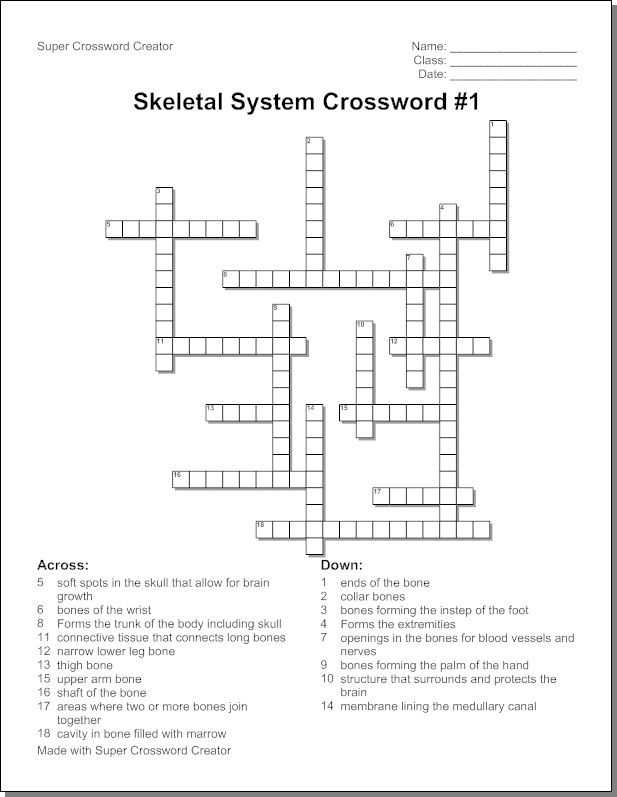 Chapter 1 Introduction to Human Anatomy and Physiology Worksheet Answers with Skeletal System Crossword Puzzle Humananatomy Online