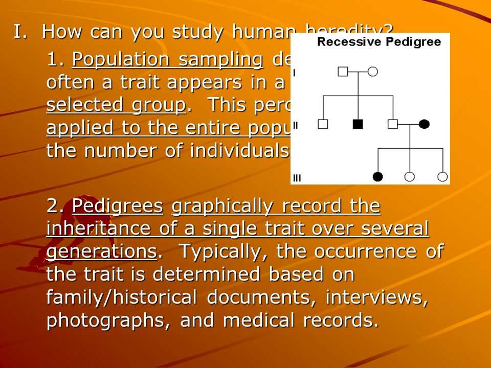 Chapter 11 Complex Inheritance and Human Heredity Worksheet Answers and Unit 3 Dna and Genetics Module 9 Human Genetics Ppt Video Online