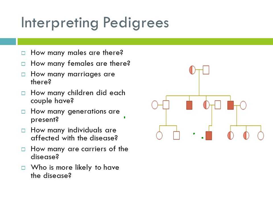 Chapter 11 Complex Inheritance and Human Heredity Worksheet Answers or Inheritance Unit Ppt