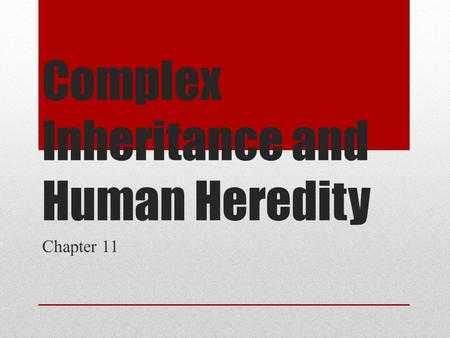 Chapter 11 Complex Inheritance and Human Heredity Worksheet Answers with Ppt On Chromosomes and Genes Worksheet