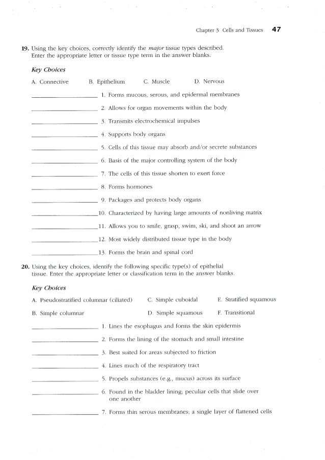 Chapter 11 the Cardiovascular System Worksheet Answer Key and Charmant Anatomy and Physiology Chapter 10 Blood Worksheet Answers