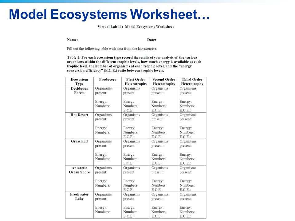 Chapter 2 Principles Of Ecology Worksheet Answers and Chapter 2 Principles Ecology Worksheet Answers Best 2011