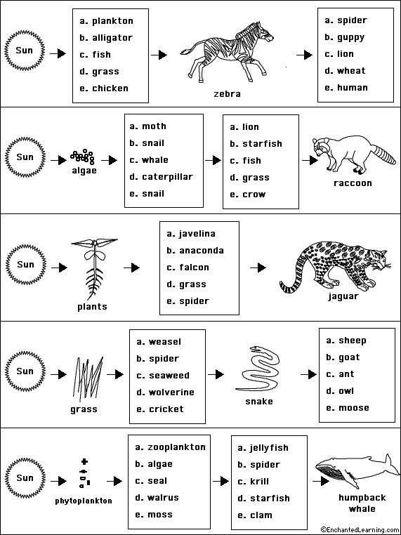Chapter 2 Principles Of Ecology Worksheet Answers together with Behr John Biology Chapter 13