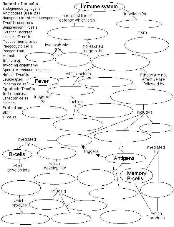 Chapter 24 the Immune System and Disease Worksheet Answer Key Also 136 Best Immune System Images On Pinterest