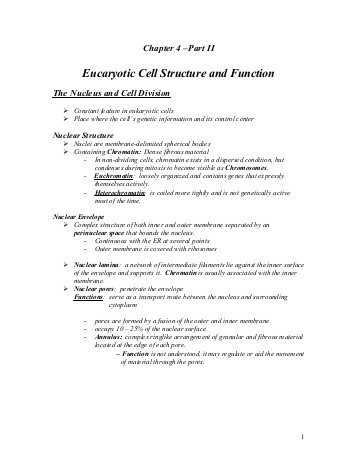 Chapter 4 Cell Structure and Function Worksheet Answers or Chapter 4 Cell Structure and Function Worksheet Answers Best