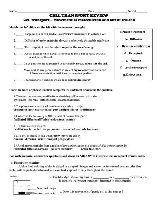 Chapter 7 Active Reading Worksheets Cellular Respiration Section 7 1 Along with Homeostasis Worksheet Pdf Kidz Activities