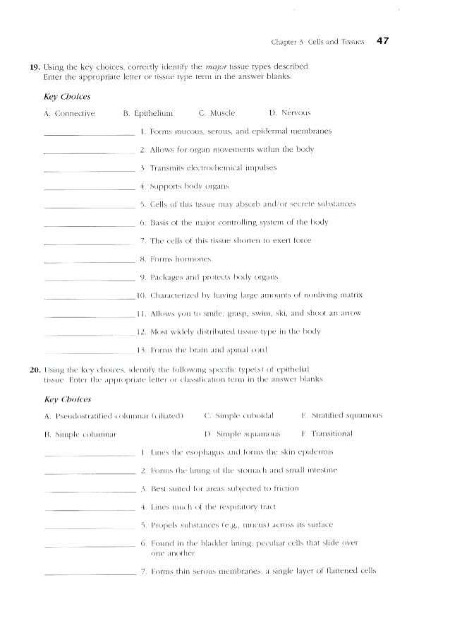 Chapter 7 Active Reading Worksheets Cellular Respiration Section 7 1 as Well as Wunderbar Anatomy and Physiology Answer Key Chapter 7 Bilder