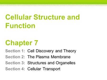 Chapter 7 Section 2 the Plasma Membrane Worksheet Answers together with Chapter 7 Cellular Structure & Function Ppt Video Online