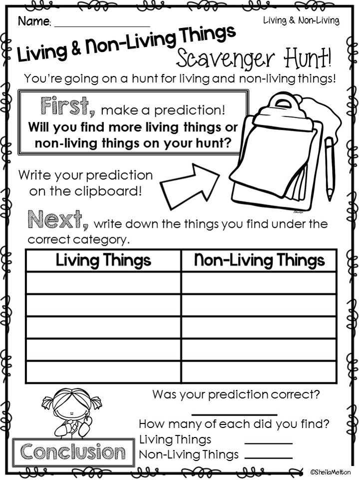 Characteristics Of Living Things Worksheet and 16 Best Kindergarten Science Images On Pinterest