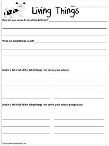 Characteristics Of Living Things Worksheet or 11 Best Science Living Non Living Images On Pinterest