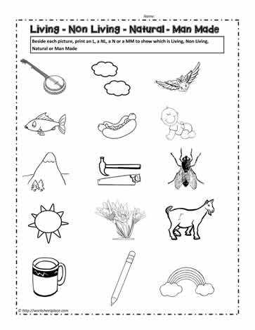 Characteristics Of Living Things Worksheet together with Living Things Worksheets Kidz Activities