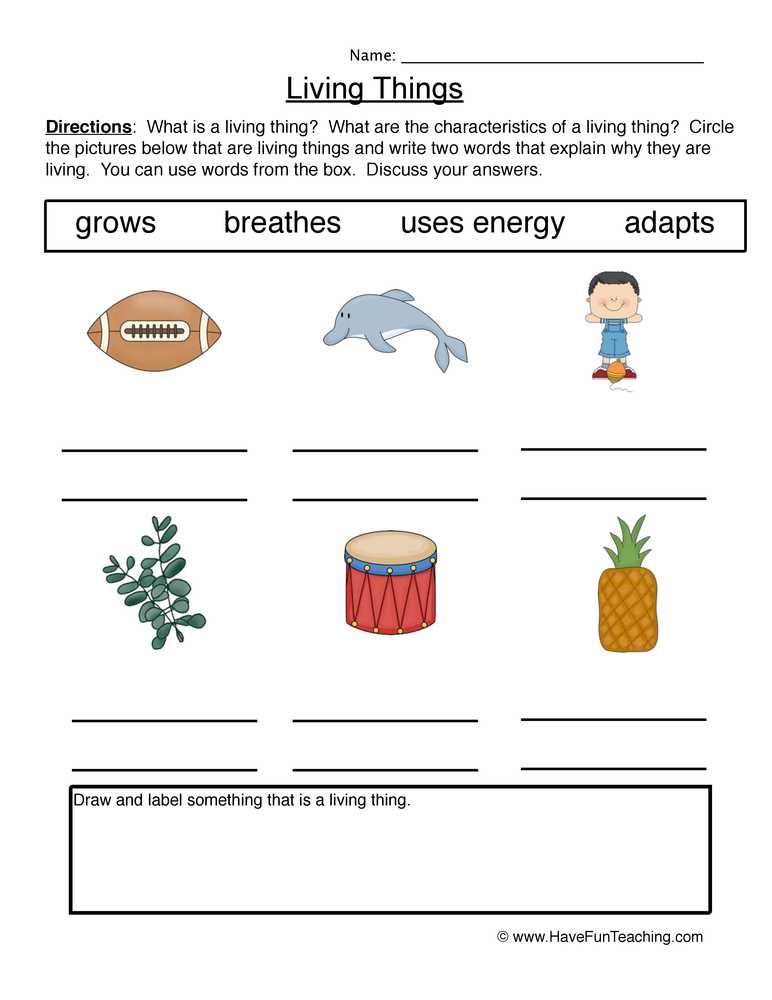 Characteristics Of Living Things Worksheet with Living and Non Living Things Worksheets
