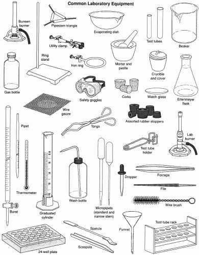 Chemistry Lab Equipment Worksheet Along with 36 Best Science Lab Safety Images On Pinterest