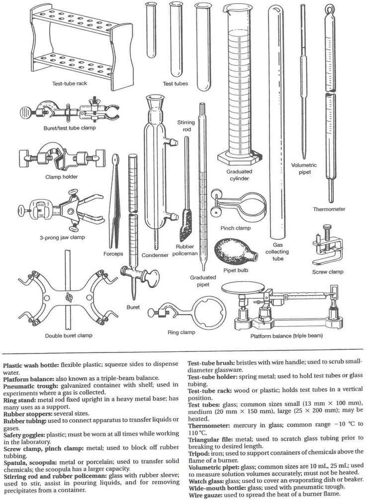 Chemistry Lab Equipment Worksheet as Well as 25 Lovely Lab Equipment Worksheet Answer Key