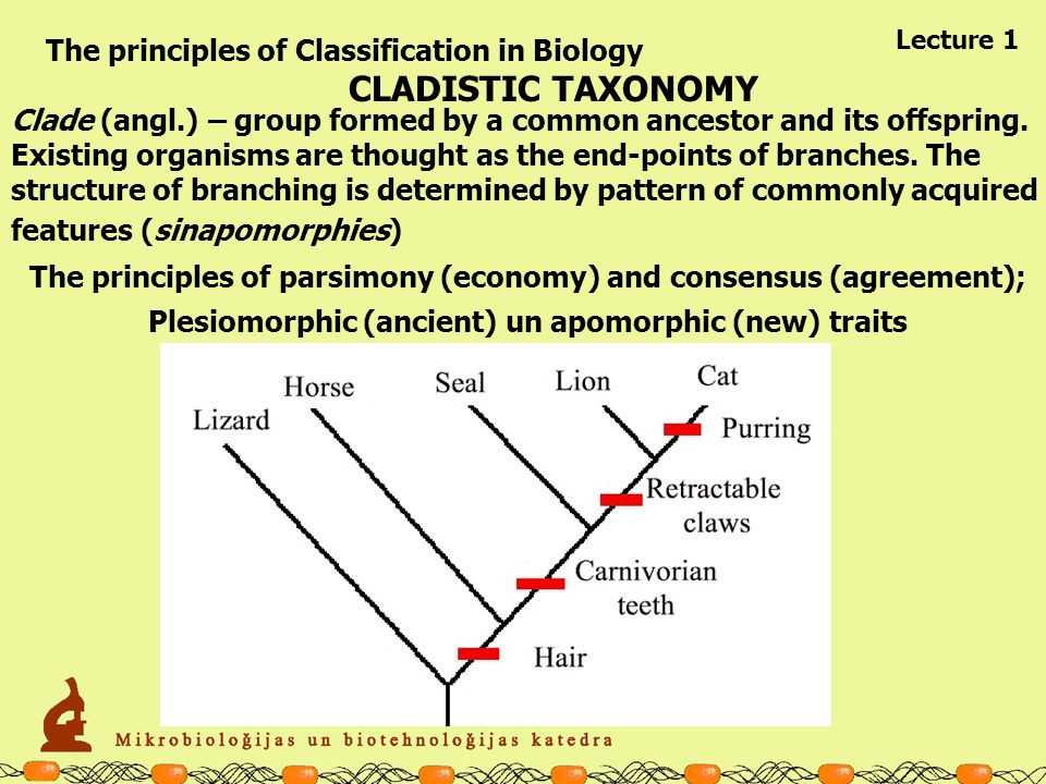 Chemistry Of Life Worksheet 1 with Taxonomy Worksheet Biology Answers Unique Basic Cell Biology I