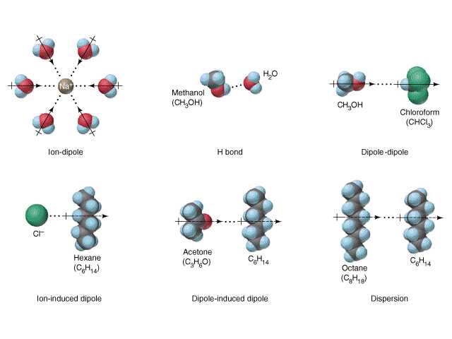 Chemthink Covalent Bonding Worksheet Answers with Learn About the 3 Types Of Intermolecular forces