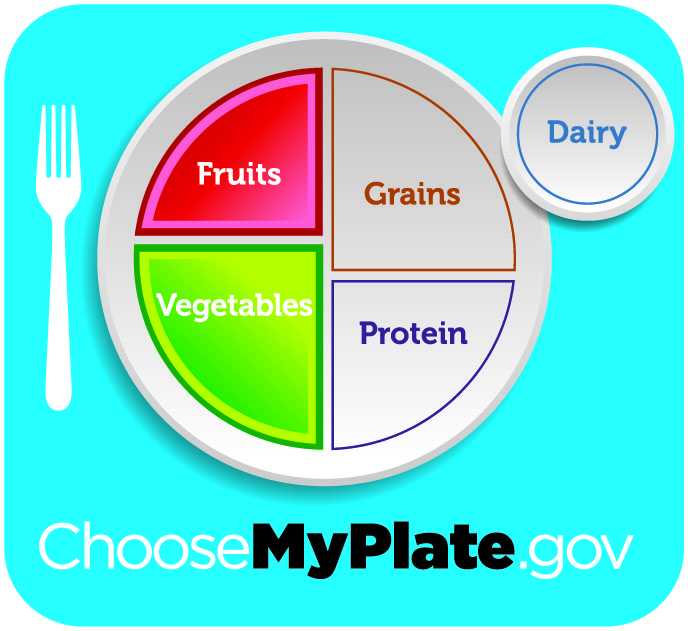 Choose My Plate Worksheet and Food Nutrition and Meal Preparation