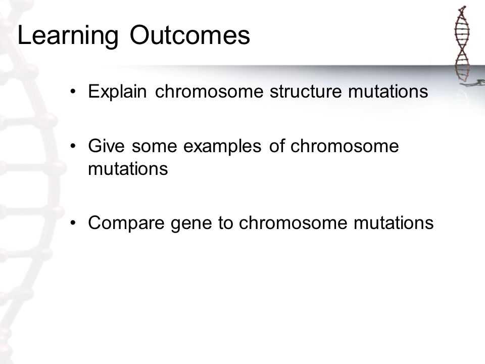 Chromosomal Mutations Worksheet as Well as 1 What are Genetic Disorders Caused by Ppt Video Online