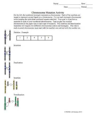 Chromosomal Mutations Worksheet or Ngss Variation Among Traits Activity Chromosome Mutation Activity