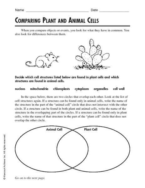 Comparing Plant and Animal Cells Worksheet or 21 Best Grade 5 Science Standard 7 Images On Pinterest