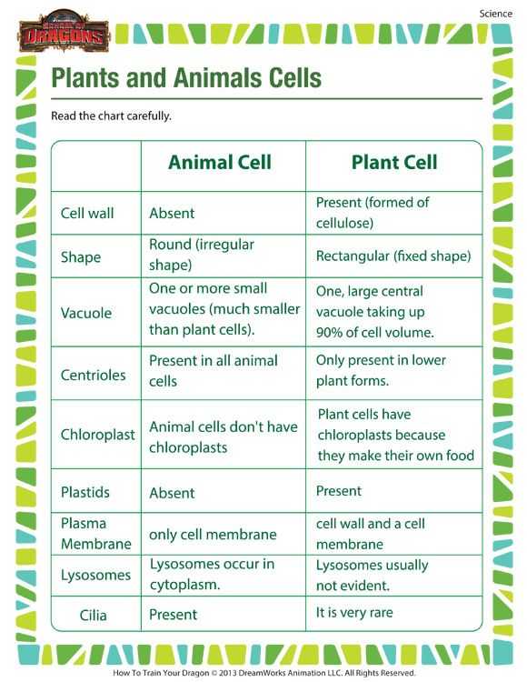 Comparing Plant and Animal Cells Worksheet with Plants and Animals Cells Printable Science Worksheets for 5th