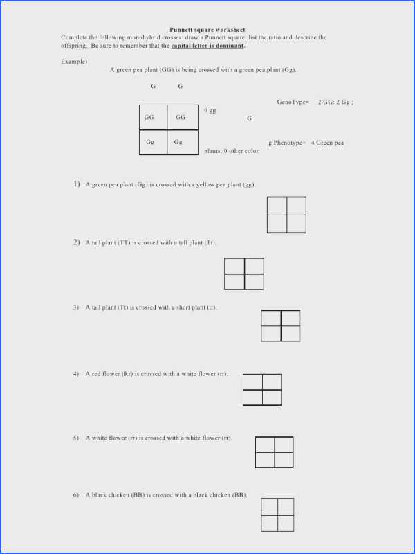 Completing the Square Worksheet with Free Printable Math Worksheets