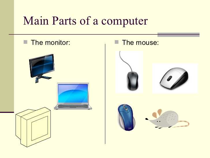 Computer Basics Worksheet Section 8 with Puter Basics 101 Slide Show Presentation