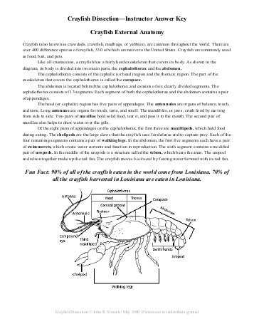 Crayfish Dissection Worksheet with Crayfish Dissection Apple