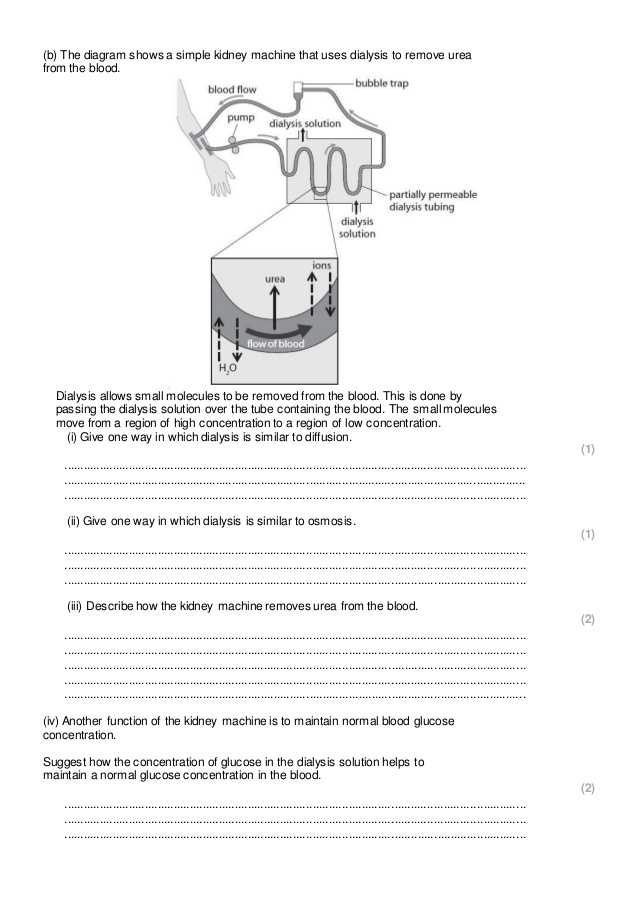 Diffusion and Osmosis Worksheet and Diffusion Osmosis and Active Transport Practice Questions