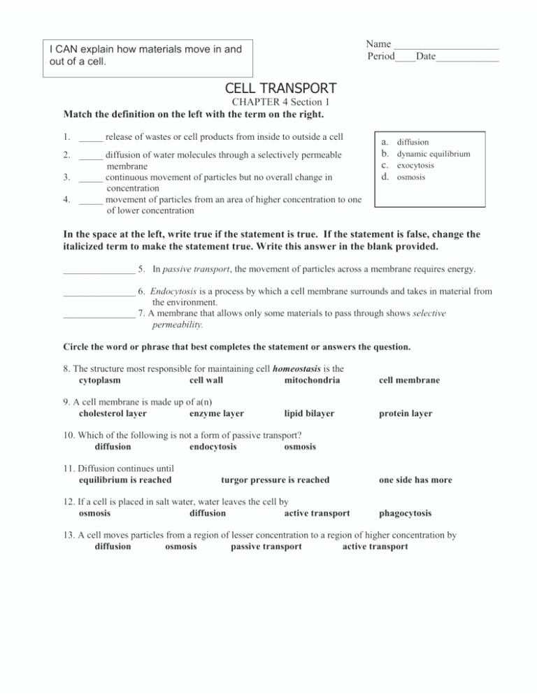 Diffusion and Osmosis Worksheet Answer Key or Science 8 Diffusion and Osmosis Worksheet Choice Image Worksheet