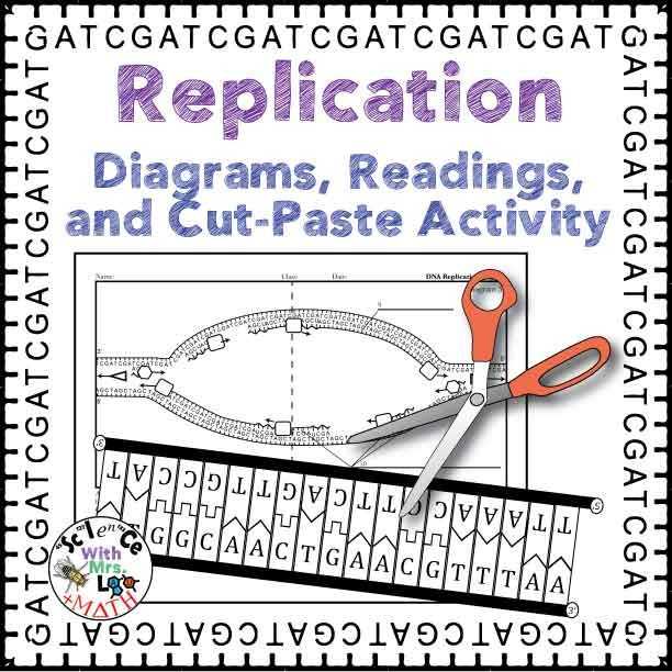 Dna and Replication Worksheet with Dna Replication Activity Diagram and Reading for High School