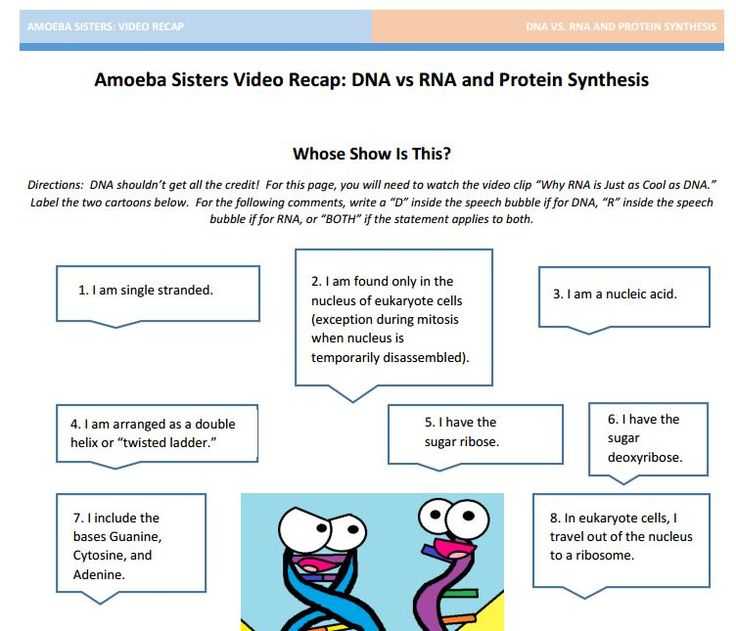 Dna and Rna Structure Worksheet Answer Key Along with 27 Best Amoeba Sisters Handouts Images On Pinterest