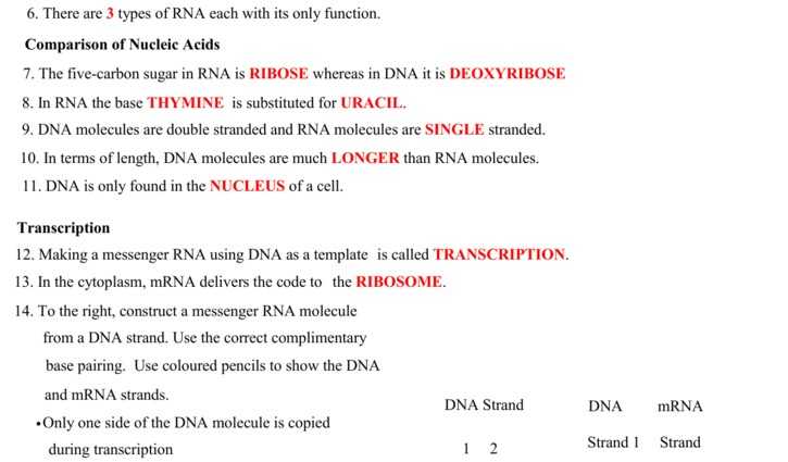 Dna Base Pairing Worksheet Answer Key Along with 34 New Pics Dna the Molecule Heredity Worksheet