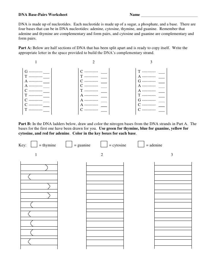 Dna Base Pairing Worksheet together with Free Worksheets Library Download and Print Worksheets
