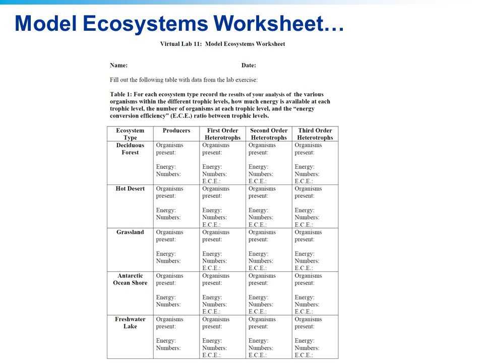 Dna Extraction Virtual Lab Worksheet and 2011 Pearson Education Inc Virtual Lab Modeling Ecosystems Ap