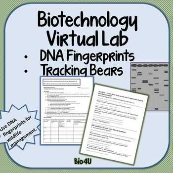 Dna Extraction Virtual Lab Worksheet or Dna Fingerprinting Worksheet forensic Science Fingerprint Activity