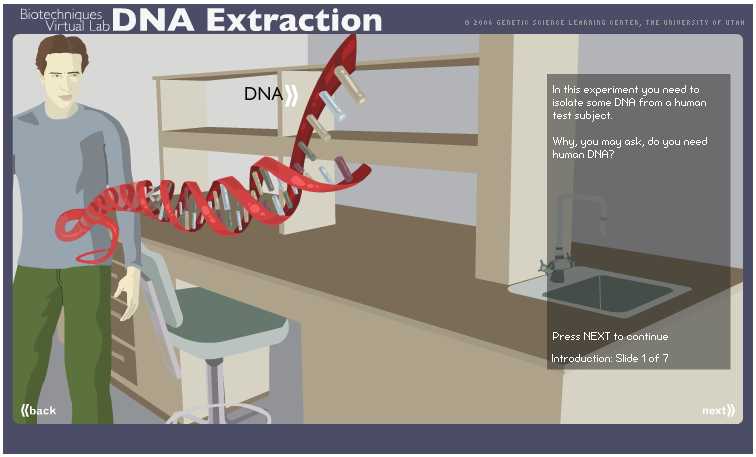Dna Extraction Virtual Lab Worksheet with Pin by Rachel Porter On Science Resources Pinterest
