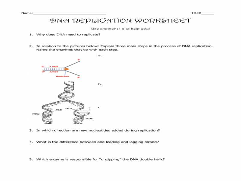 Dna Fingerprinting Worksheet as Well as Lovely Dna Replication Worksheet Answers Beautiful Dna
