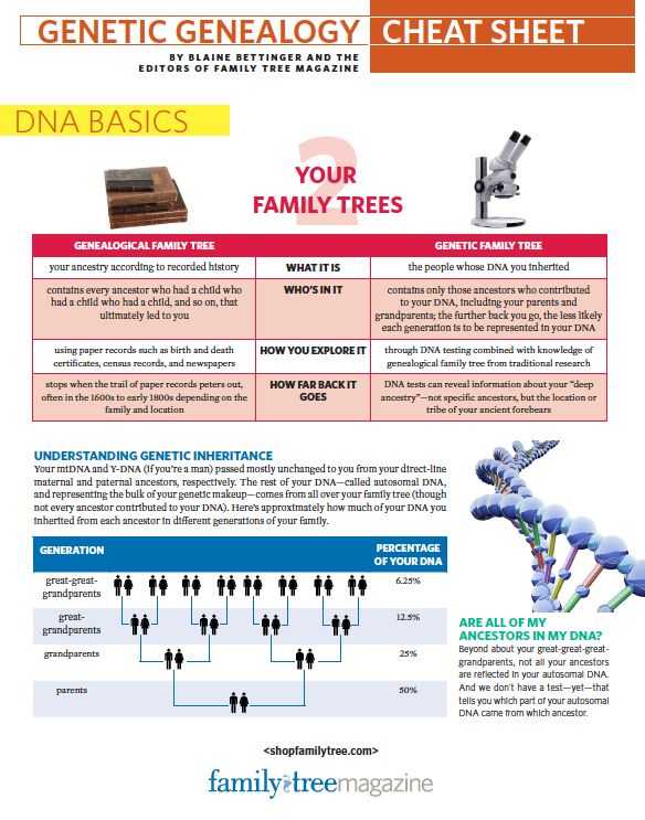 Dna Matching Worksheet or 85 Best Dna & Genetic Genealogy Images On Pinterest
