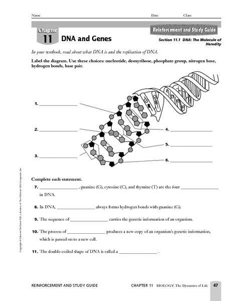 Dna Mutations Practice Worksheet Answers and Worksheets 43 Fresh Dna Replication Worksheet Answers High