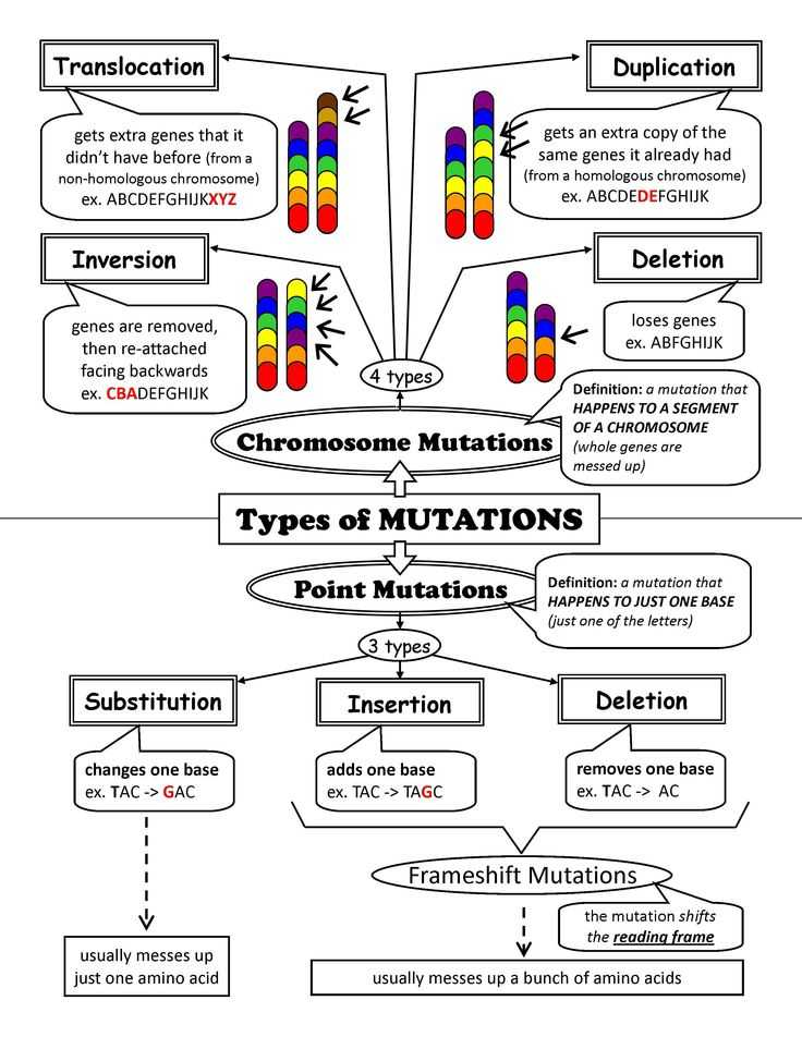 Dna Mutations Worksheet and 39 Best Genetics Images On Pinterest