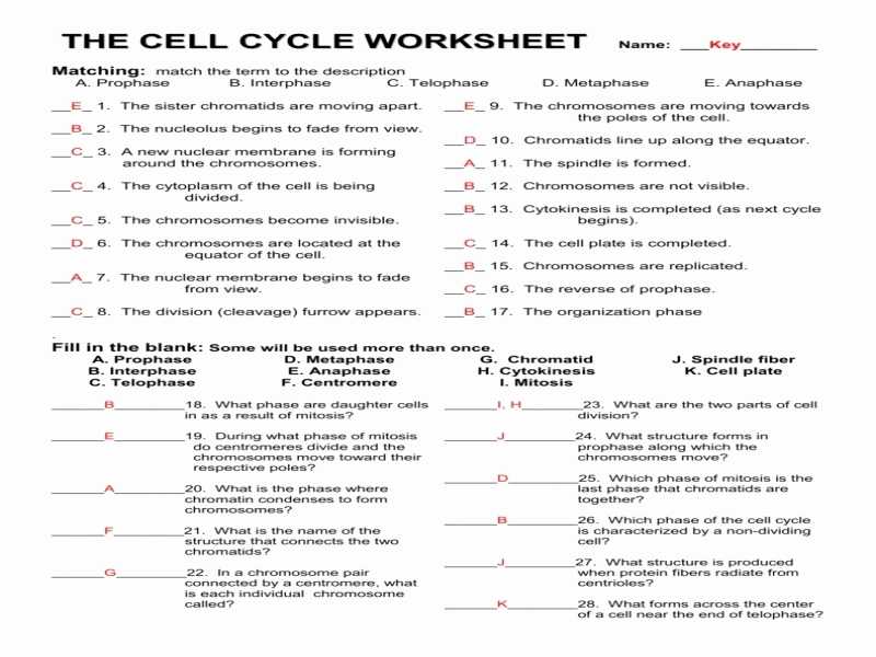 Dna Mutations Worksheet together with Worksheets Wallpapers 43 Best Insolvency Worksheet Hi Res